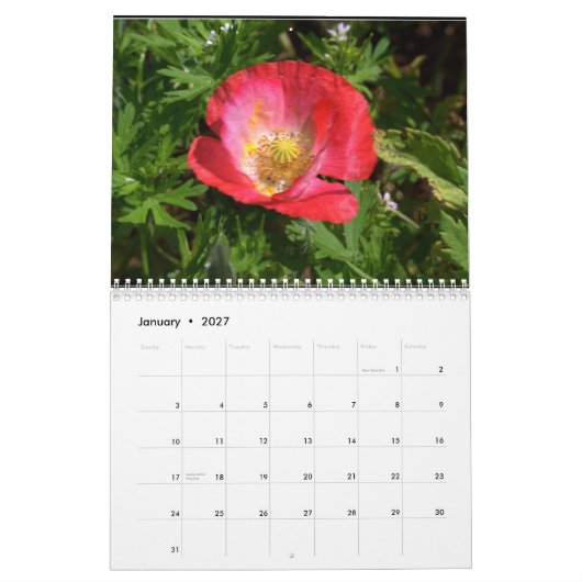 Texas-Wildblumen Kalender (Jan 2027)