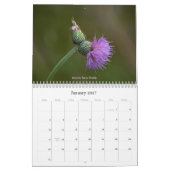 Texas-Wildblumen-Kalender Kalender (Jan 2027)