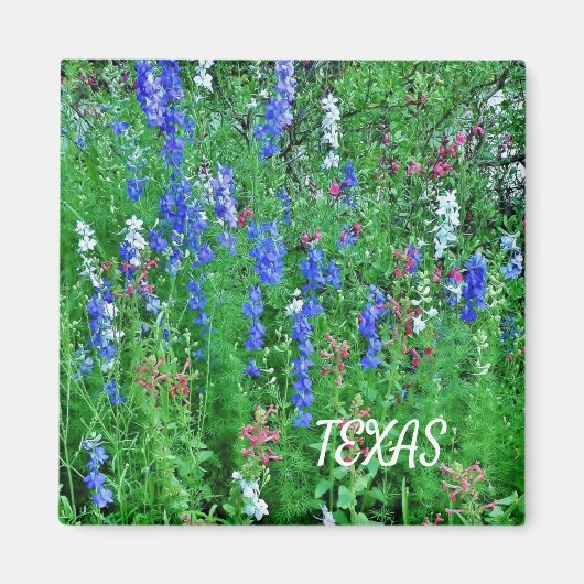 Texas Wildblumen Magnet (Vorne)