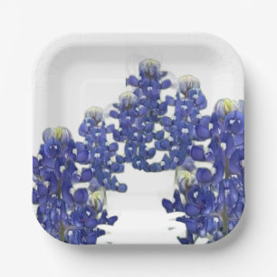 Texas Wildblumen Papierplatte Pappteller