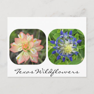 Texas Wildblumen Postcard Postkarte