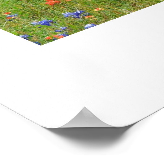 Texas Wildblumen Poster (Ecke)