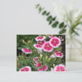 Texas-Wildblumen Postkarte (Stehend Vorderseite)