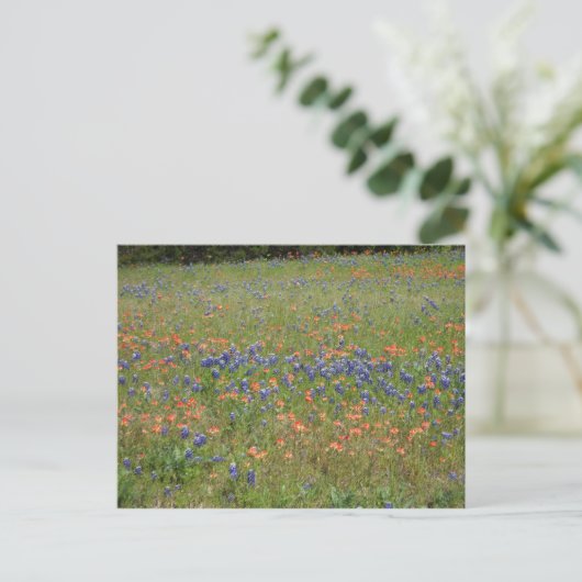 Texas-Wildblumen Postkarte (Stehend Vorderseite)