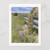 Texas-Wildblumen Postkarte (Vorderseite)