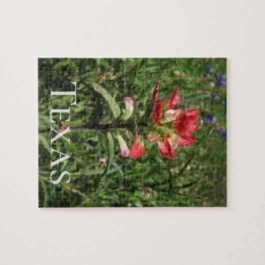 Texas-Wildblumen Puzzle (Horizontal)