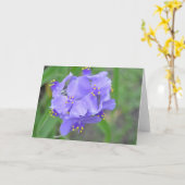 Texas Wildflowers Karte (Gelbe Blume)