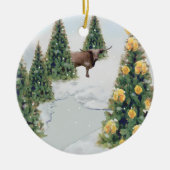 Texas Winter Ornament (Vorne)