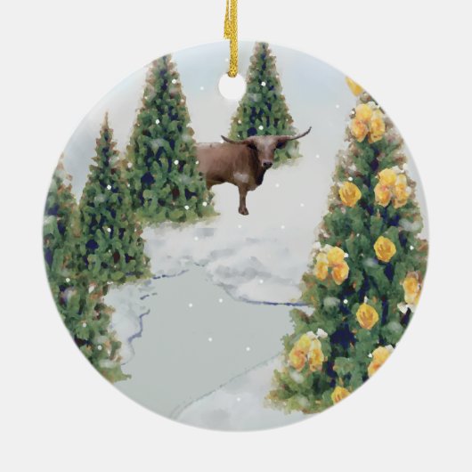 Texas Winter Ornament (Hinten)