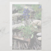 TexasBluebonnet Briefpapier (Vorne/Hinten)