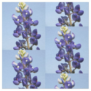 Texasbluebonnet-Gewebe Stoff