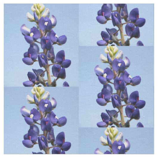 Texasbluebonnet-Gewebe Stoff (Nahaufnahme)