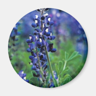 TexasBluebonnet Magnet
