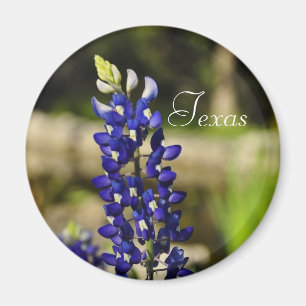 Texasbluebonnet-Magnet Magnet