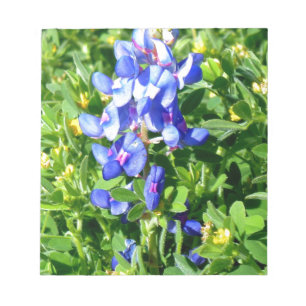 TEXASBlueBonnet Notizblock