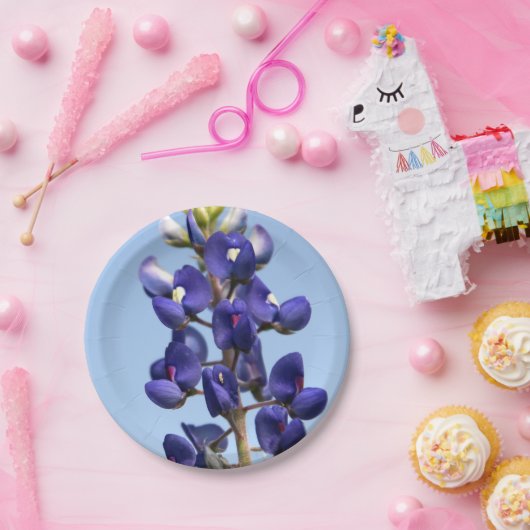 Texasbluebonnet-Papier-Teller Pappteller (Party)