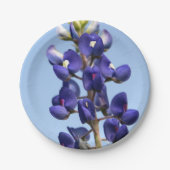 Texasbluebonnet-Papier-Teller Pappteller (Vorderseite)
