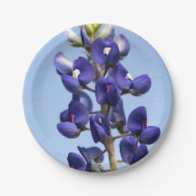 Texasbluebonnet-Papier-Teller