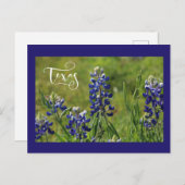 Texasbluebonnet-Postkarte Postkarte (Vorne/Hinten)