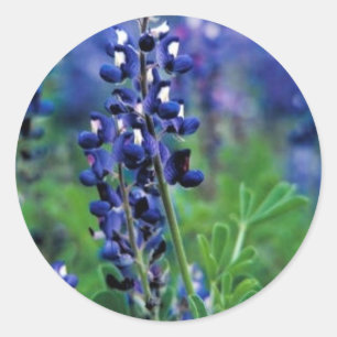 TexasBluebonnet Runder Aufkleber