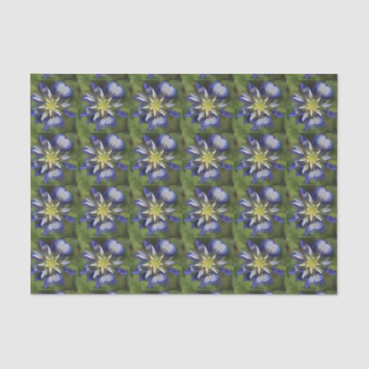 Texasbluebonnet-Seidenpapier Seidenpapier (Vorderseite)