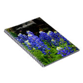 Texasbluebonnets-Anmerkungs-Buch Notizblock (Rechte Seite)