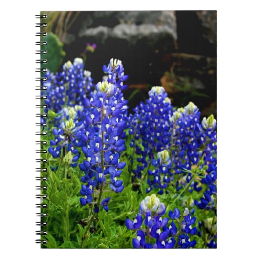 Texasbluebonnets-Anmerkungs-Buch Notizblock (Vorderseite)