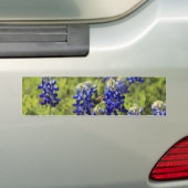 Texasbluebonnets-Autoaufkleber Autoaufkleber (Auf Auto)