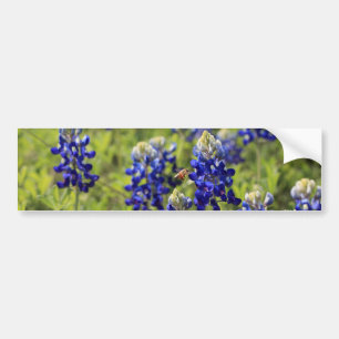 Texasbluebonnets-Autoaufkleber Autoaufkleber