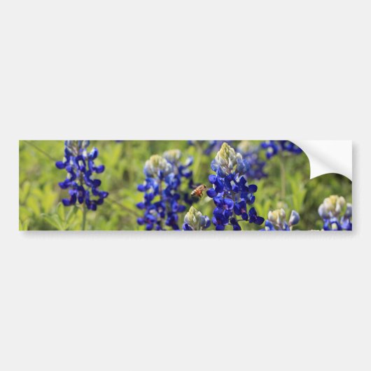 Texasbluebonnets-Autoaufkleber Autoaufkleber (Vorne)