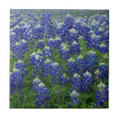 Texasbluebonnets-Feld-Foto Fliese (Vorderseite)
