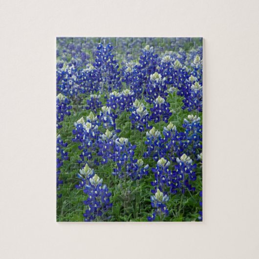Texasbluebonnets-Feld-Foto Puzzle (Vertikal)