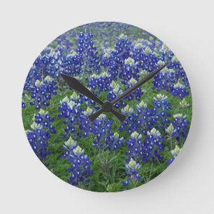 Texasbluebonnets-Feld-Foto Runde Wanduhr