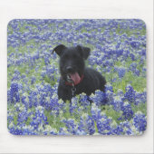 Texasbluebonnets-Feld-niedliches Welpen-HundeFoto Mousepad (Vorne)