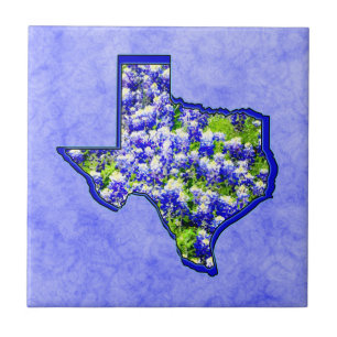 TEXASBLUEBONNETS FLIESE