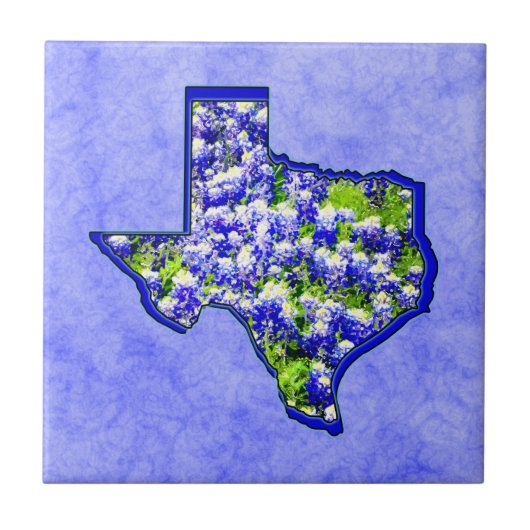 TEXASBLUEBONNETS FLIESE (Vorderseite)