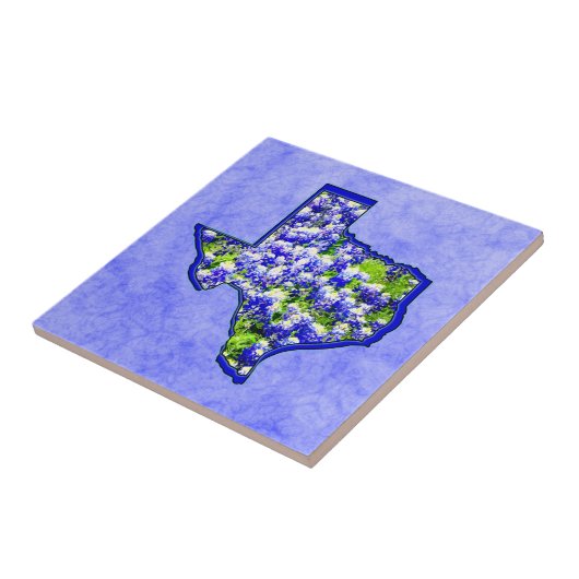 TEXASBLUEBONNETS FLIESE (Seite)