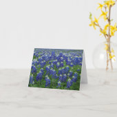 Texasbluebonnets-Foto-freier Raum Karte (Gelbe Blume)