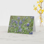 TexasBluebonnets Karte (Gelbe Blume)