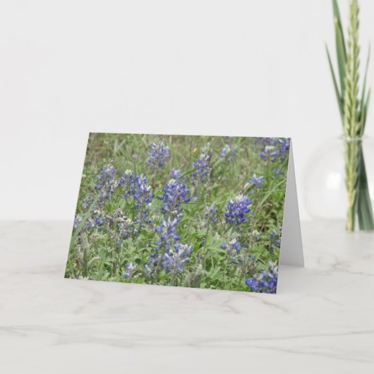TexasBluebonnets Karte (Vorderseite)