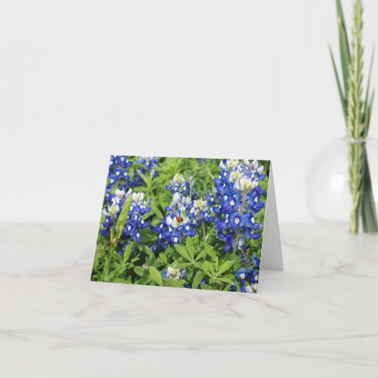 TexasBluebonnets Karte (Vorderseite)