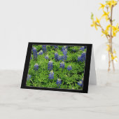 "TexasBluebonnets " Karte (Gelbe Blume)