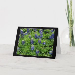 "TexasBluebonnets " Karte