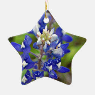 TexasBluebonnets Keramik Ornament