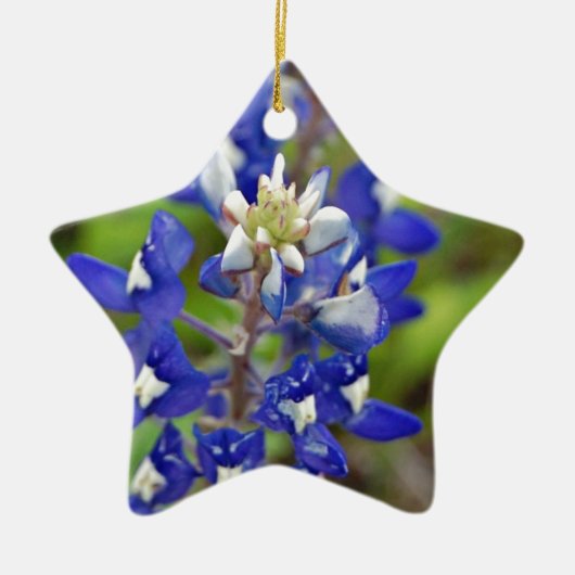 TexasBluebonnets Keramik Ornament (Vorne)