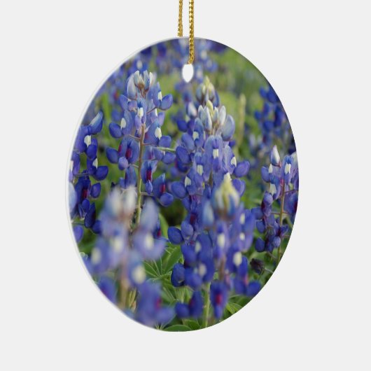 TexasBluebonnets Keramikornament (Rechts)