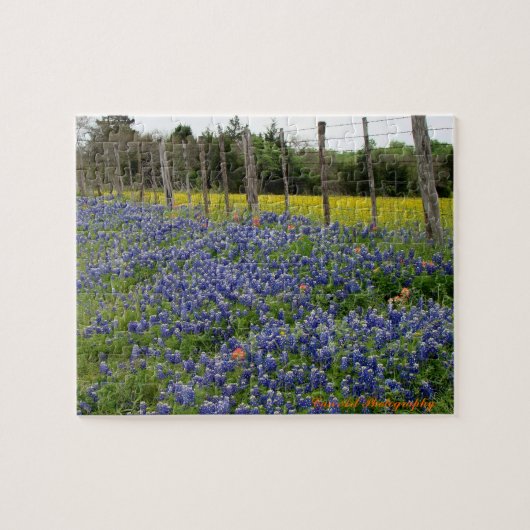 TexasBluebonnets machen Kunst-Fotografie ein Puzzle (Horizontal)