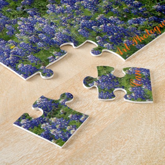 TexasBluebonnets machen Kunst-Fotografie ein Puzzle (Seite)