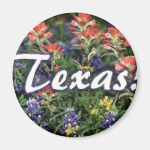 Texasbluebonnets-Malerpinsel Magnet