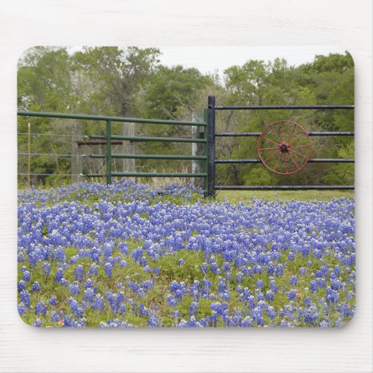 TexasBluebonnets Mousepad (Vorne)